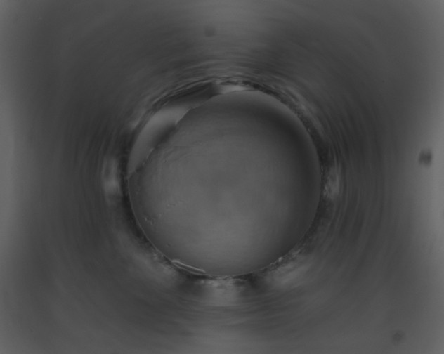 X0000093560524200710221425