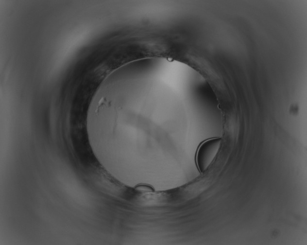 X0000093560526200710221425