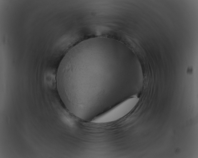 X0000093560527200710221425