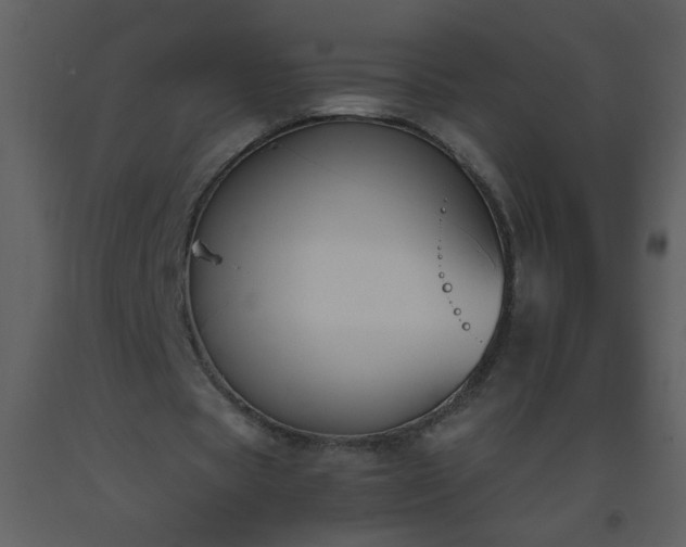 X0000093560529200710221424