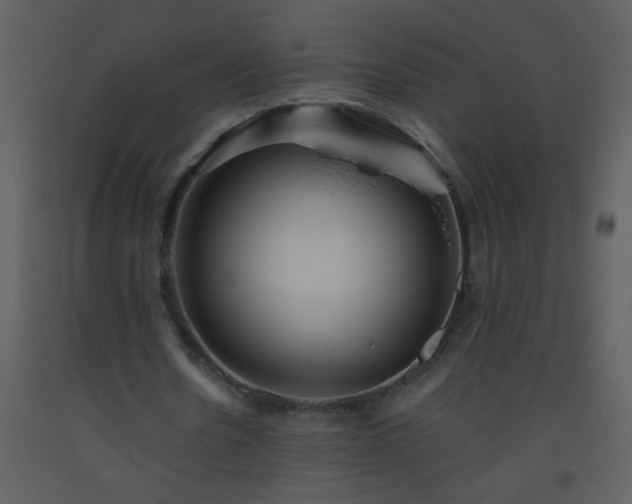 X0000093560530200710221424