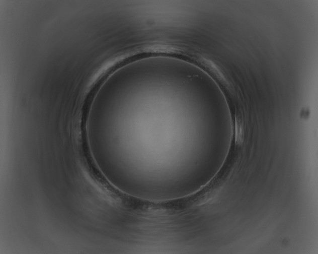 X0000093560531200710221424