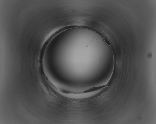 X0000093560532200710221424