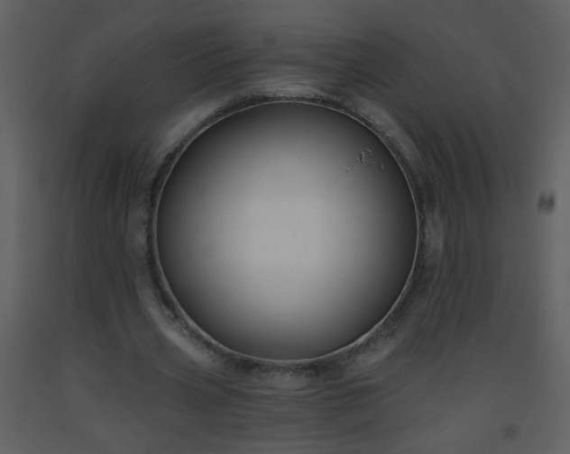 X0000093560533200710221424