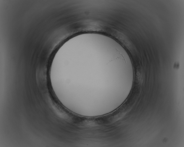 X0000093560534200710221424