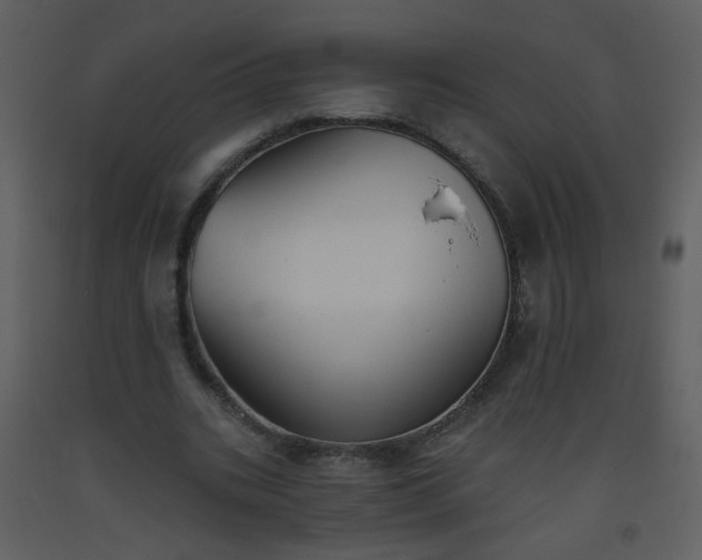 X0000093560535200710221424