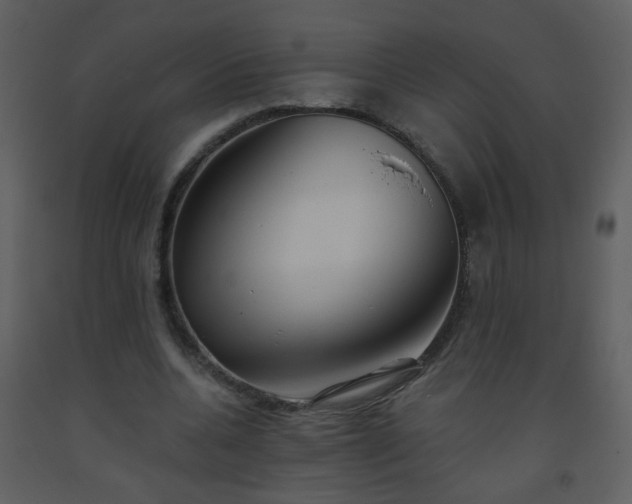 X0000093560536200710221424