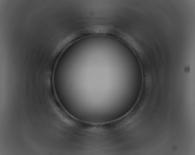 X0000093560537200710221424