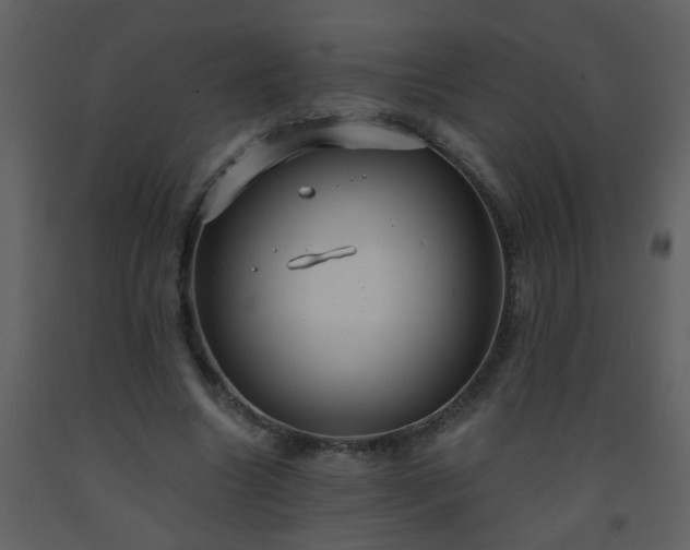 X0000093560538200710221424