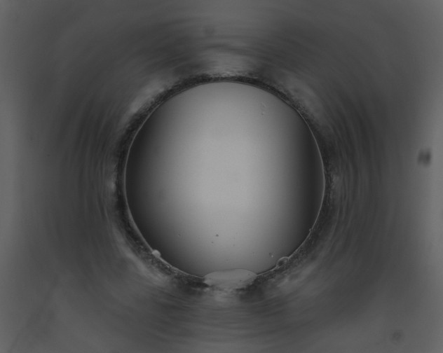 X0000093560539200710221424