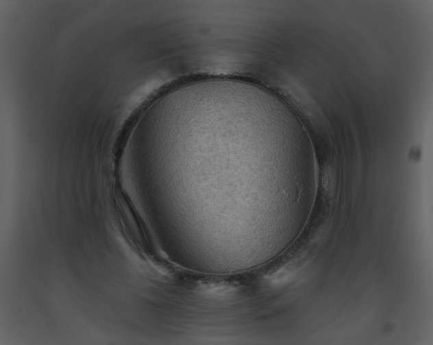 X0000093560540200710221424