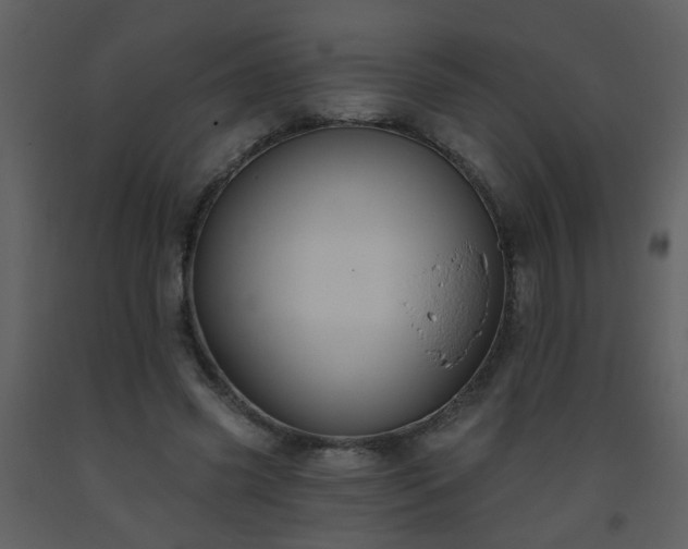 X0000093560541200710221424