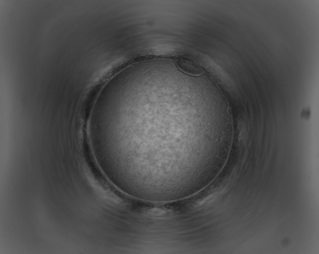 X0000093560542200710221424