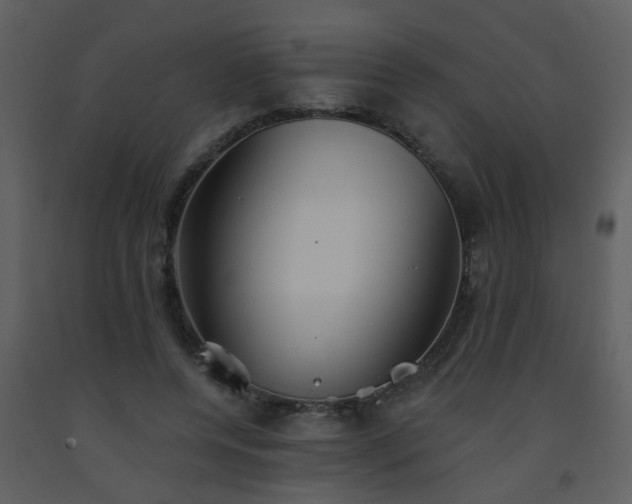 X0000093560544200710221424
