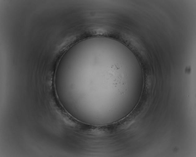 X0000093560545200710221424