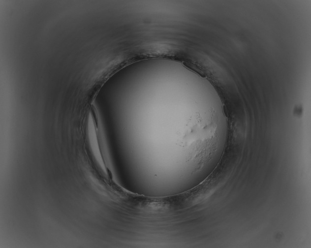 X0000093560546200710221425