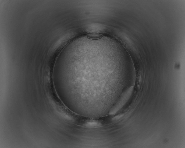 X0000093560547200710221425