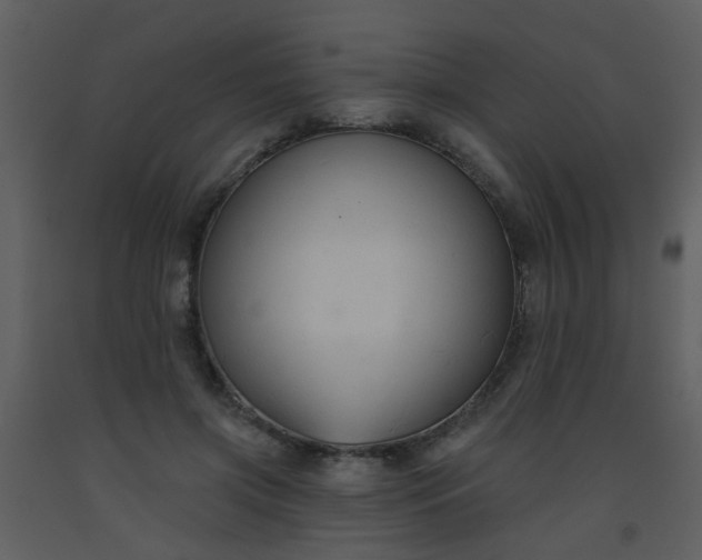 X0000093560549200710221425