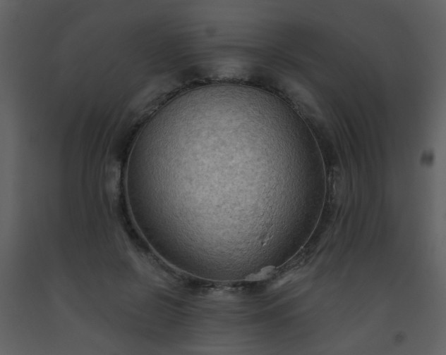 X0000093560550200710221425