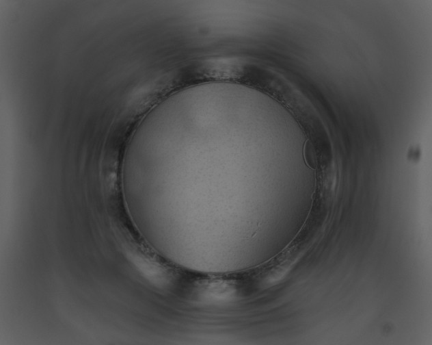 X0000093560553200710221425