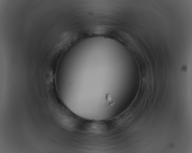 X0000093560555200710221425