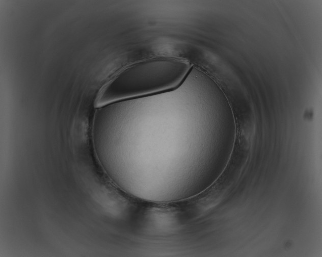 X0000093560556200710221425