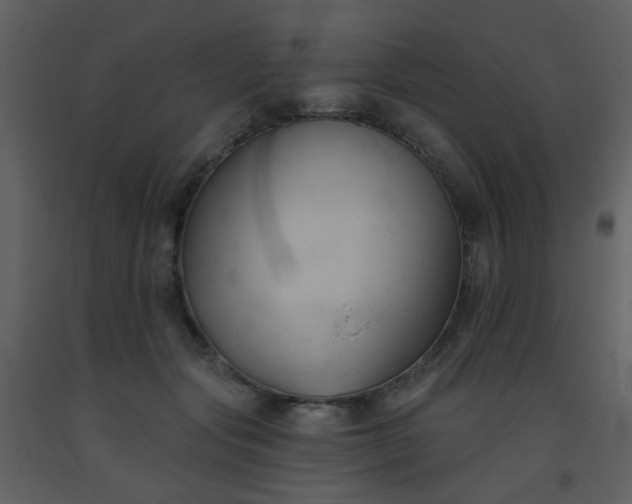 X0000093560557200710221425