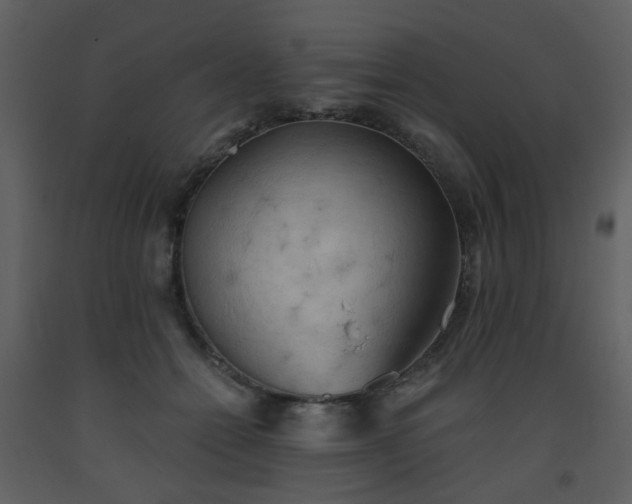 X0000093560558200710221425
