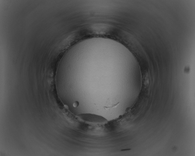 X0000093560559200710221425