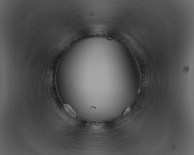 X0000093560560200710221425