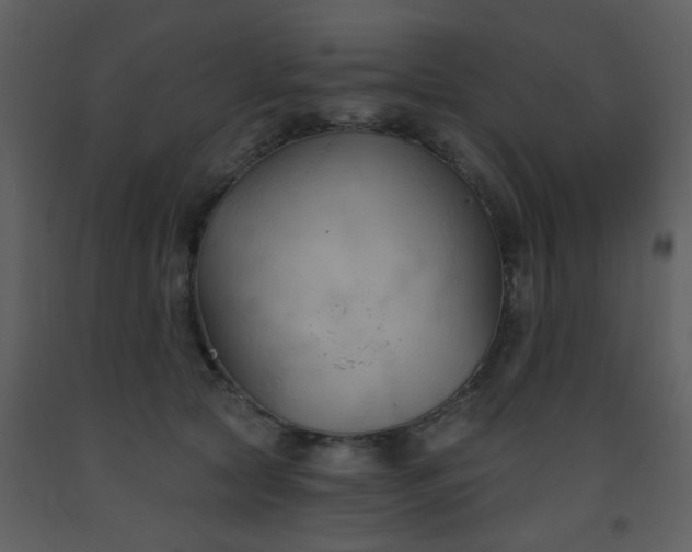 X0000093560561200710221425