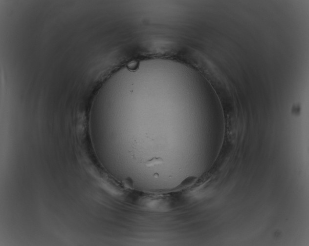 X0000093560563200710221425
