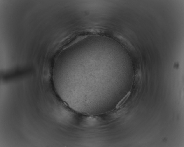 X0000093560566200710221425