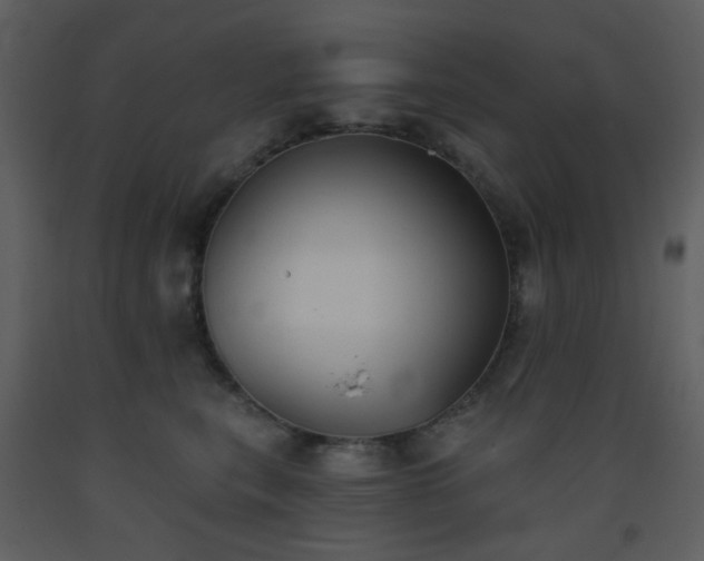 X0000093560567200710221425
