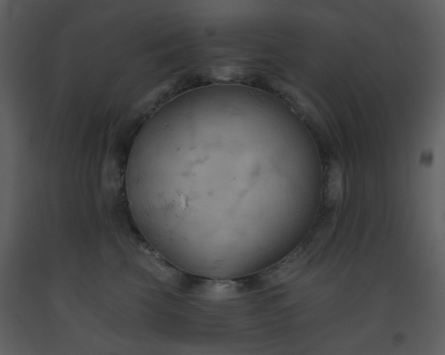 X0000093560569200710221425