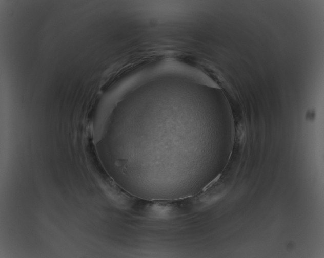 X0000093560570200710221425