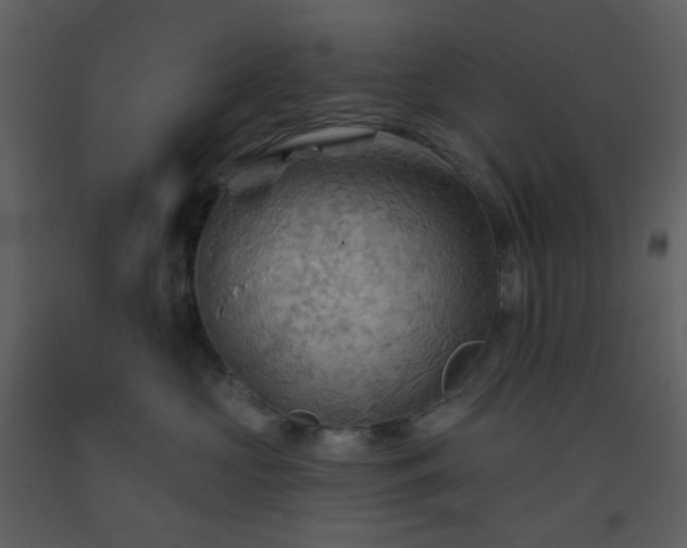 X0000093560573200710221425