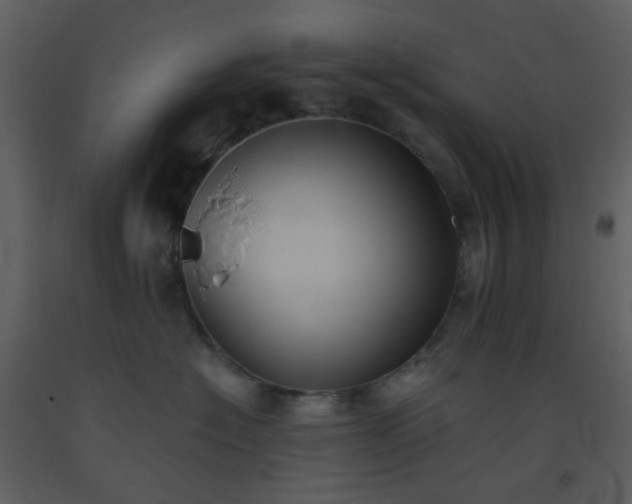 X0000093560574200710221425