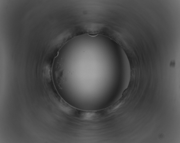 X0000093560575200710221425
