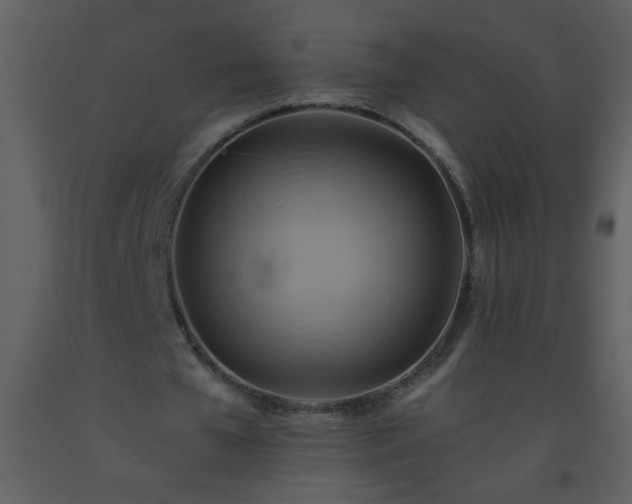 X0000093560577200710221424