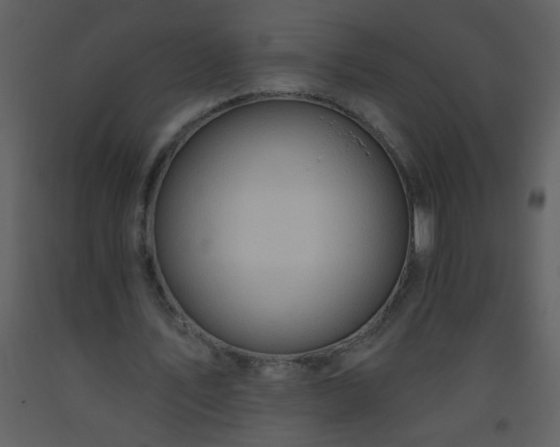 X0000093560579200710221424