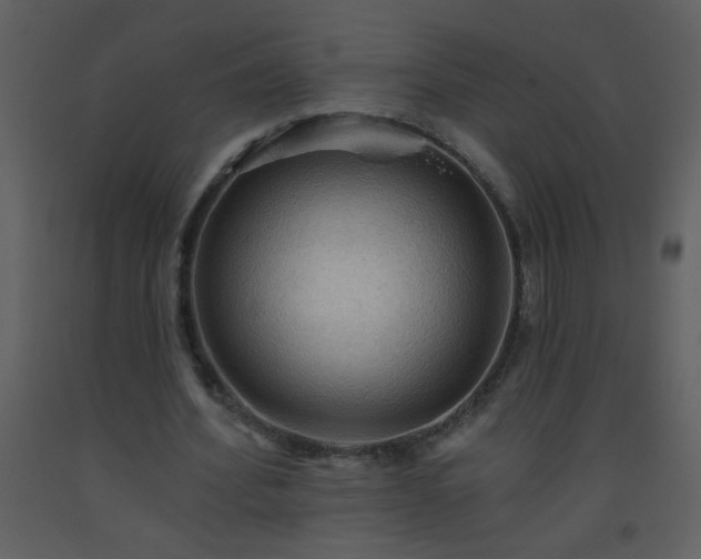 X0000093560580200710221424