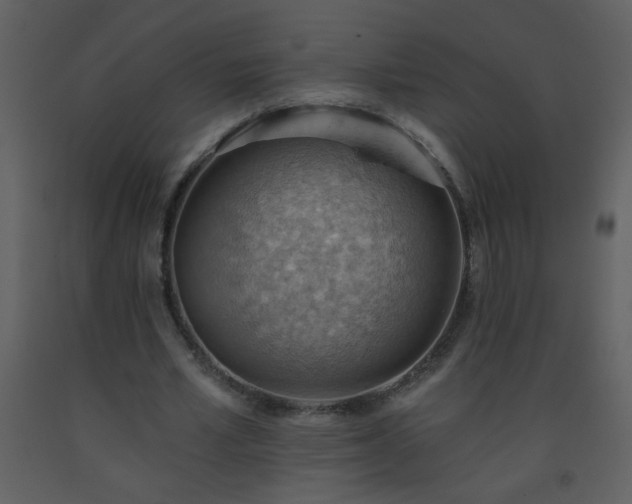 X0000093560581200710221424