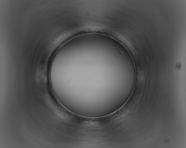 X0000093560582200710221424