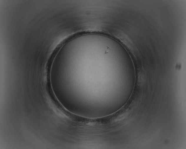 X0000093560584200710221424