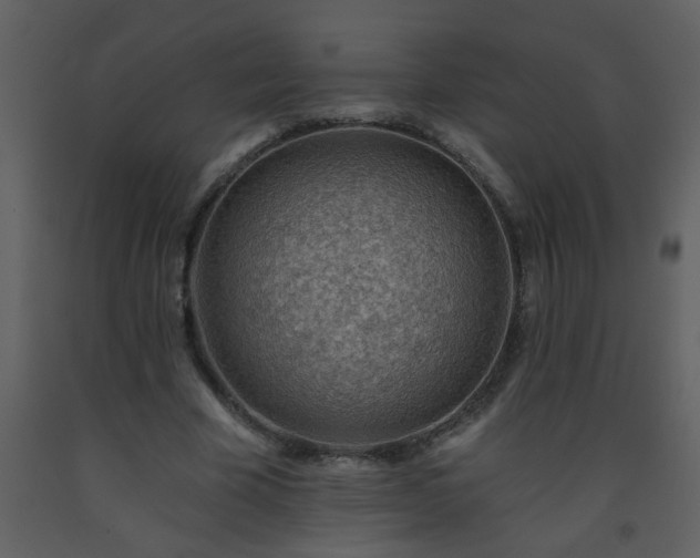 X0000093560585200710221424