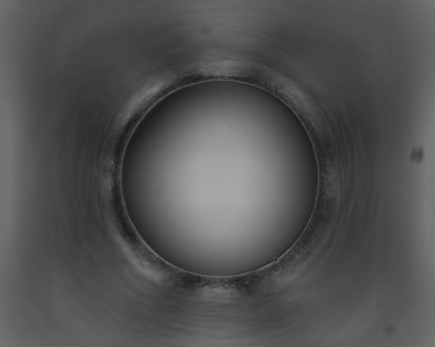 X0000093560586200710221424