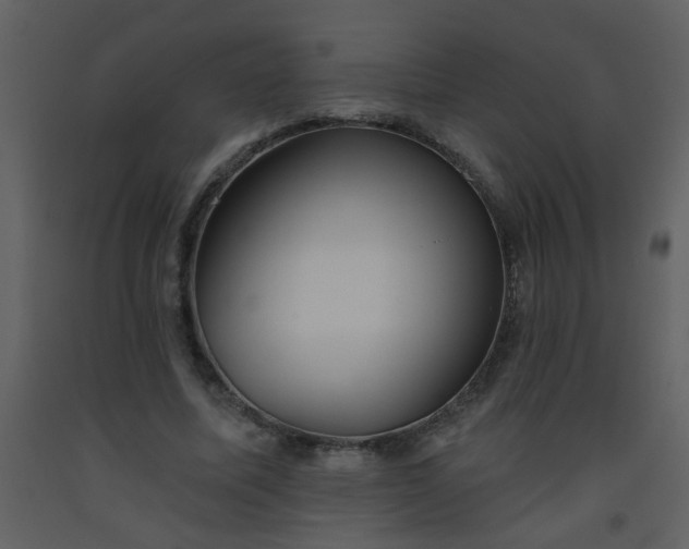 X0000093560587200710221424