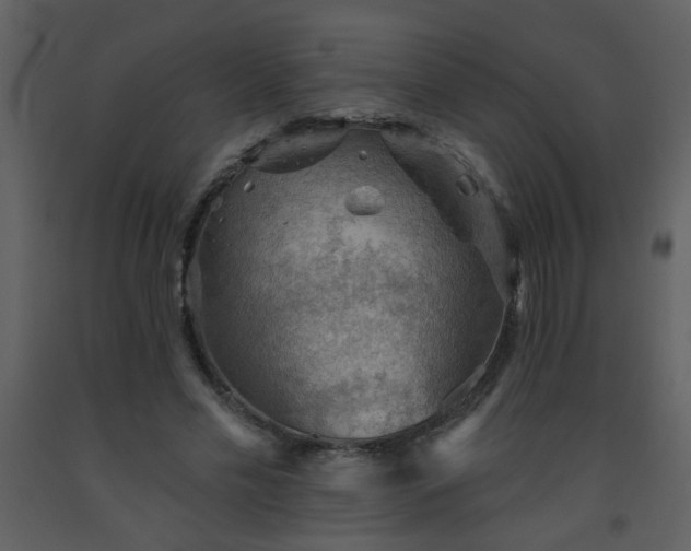 X0000093560589200710221424