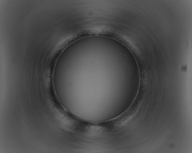 X0000093560590200710221424